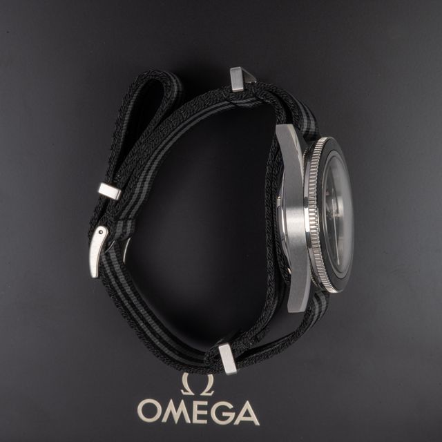 Omega Seamaster 300 233.32.41.21.01.001 Image 4